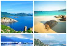 tour Nha Trang