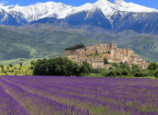 Đắm mình trước vẻ đẹp thơ mộng đầy lãng mạn của vùng Provence nước Pháp Đắm mình trước vẻ đẹp thơ mộng đầy lãng mạn của vùng Provence nước Pháp