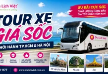 Tour xe giá sốc – Vi vu khắp nơi bằng tour xe giá rẻ 2026